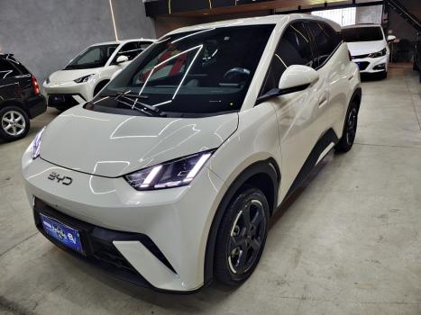 BYD Dolphin Mini 38 KW EL�TRICO GS, Foto 1