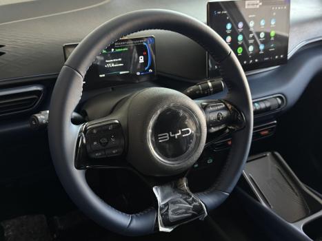 BYD Dolphin Mini 38 KW EL�TRICO GS, Foto 21