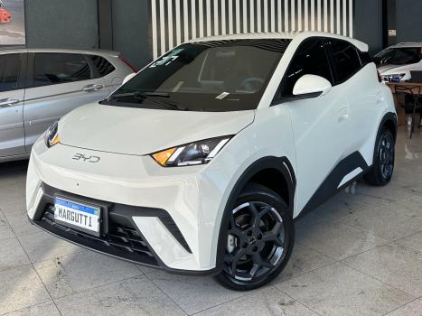 BYD Dolphin Mini 38 KW EL�TRICO GS, Foto 1