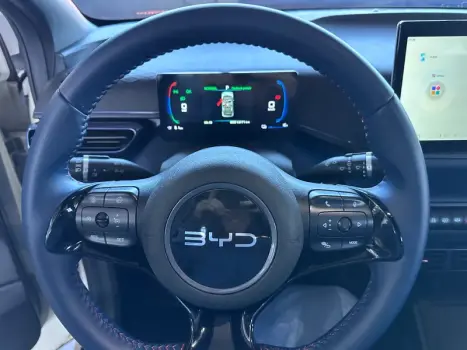 BYD Dolphin Mini 38 KW ELÉTRICO, Foto 9