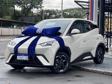 BYD Dolphin Mini 38 KW ELÉTRICO GS, Foto 1
