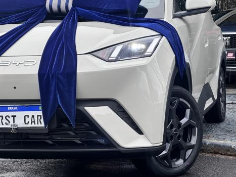 BYD Dolphin Mini 38 KW ELÉTRICO GS, Foto 3