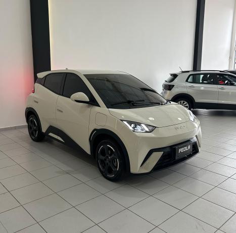 BYD Dolphin Mini 38 KW ELÉTRICO GS, Foto 3