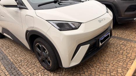 BYD Dolphin Mini 38 KW ELÉTRICO GS, Foto 1
