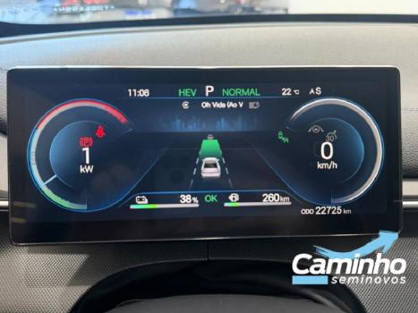 BYD King 1.5 16V 4P GL DM-I PHEV AUTOM�TICO, Foto 12
