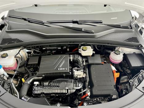 BYD Song Plus 1.5 16V 4P DM-I H�BRIDO AUTOM�TICO, Foto 14