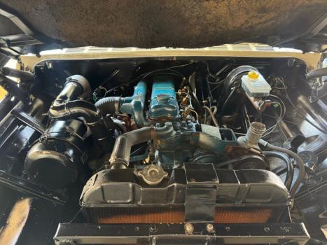 CHEVROLET D10 4.0 DIESEL CUSTOM S CABINE SIMPLES, Foto 6