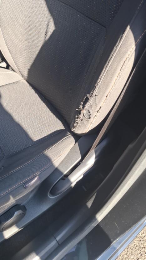 CHEVROLET Onix Hatch 1.4 4P FLEX LT, Foto 7