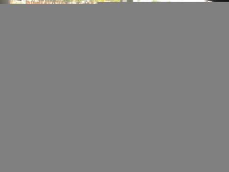 FIAT Fiorino Furgo 1.4 FLEX ENDURANCE, Foto 8