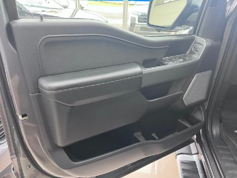 FORD F-150 5.0 V8 24V FX4 LARIAT CABINE DUPLA AUTOMTICO, Foto 12