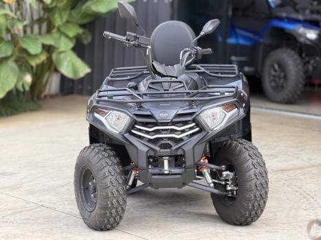 FUN MOTORS Farmer 300 , Foto 3