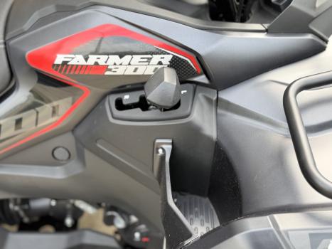 FUN MOTORS Farmer 300 , Foto 5