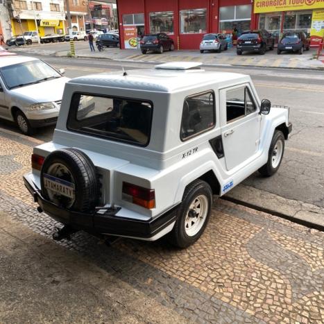 GURGEL X12 1.6 TR PLUS TOCANTINS, Foto 5