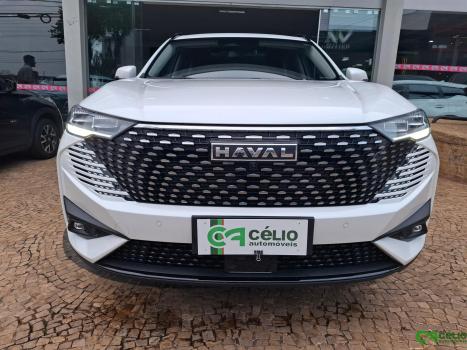 GWM Haval H6 1.5 16V 4P HEV PREMIUM E-TRACTION AUTOMÁTICO, Foto 11 GWM Haval H6 1.5 16V 4P HEV PREMIUM E-TRACTION AUTOMÁTICO, Foto 11