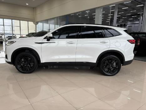 GWM Haval H6 1.5 16V 4P HEV PREMIUM E-TRACTION AUTOM�TICO, Foto 8