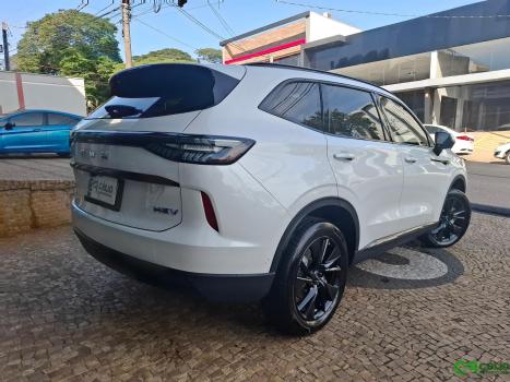 GWM Haval H6 1.5 16V 4P HEV2 PREMIUM AWD E-TRACTION AUTOM�TICO, Foto 9