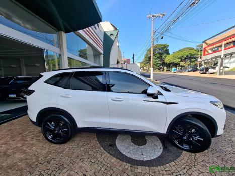 GWM Haval H6 1.5 16V 4P HEV2 PREMIUM AWD E-TRACTION AUTOM�TICO, Foto 10