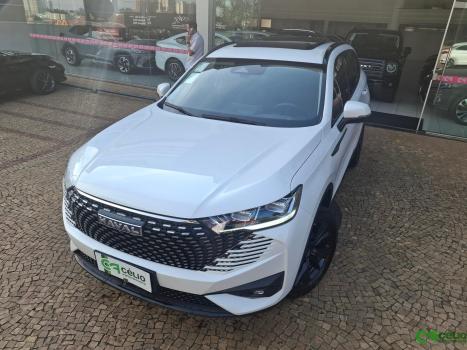 GWM Haval H6 1.5 16V 4P HEV2 PREMIUM AWD E-TRACTION AUTOM�TICO, Foto 12