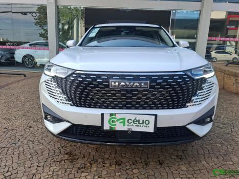 GWM Haval H6 1.5 16V 4P HEV2 PREMIUM AWD E-TRACTION AUTOM�TICO, Foto 15