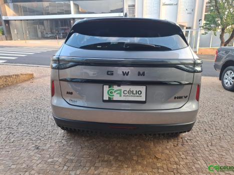GWM Haval H6 1.5 16V 4P HEV2 PREMIUM AWD E-TRACTION AUTOM�TICO, Foto 8