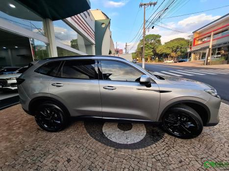 GWM Haval H6 1.5 16V 4P HEV2 PREMIUM AWD E-TRACTION AUTOM�TICO, Foto 9