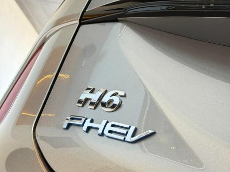 GWM Haval H6 1.5 16V 4P PHEV19 AWD E-TRACTION AUTOM�TICO, Foto 11