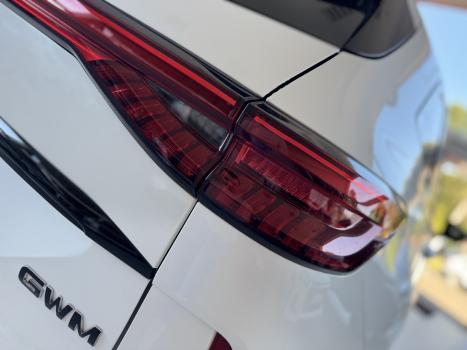 GWM Haval H6 1.5 16V 4P HEV PREMIUM AWD E-TRACTION AUTOM�TICO, Foto 9