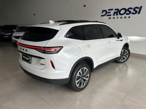 GWM Haval H6 1.5 16V 4P PHEV19 AWD E-TRACTION AUTOM�TICO, Foto 15