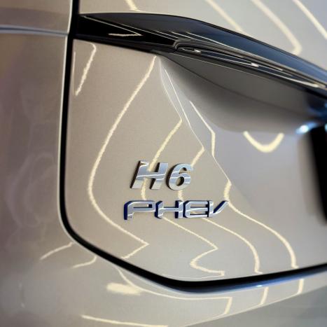 GWM Haval H6 1.5 16V 4P PHEV PREMIUM AWD E-TRACTION AUTOMÁTICO, Foto 11