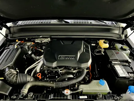 GWM Tank 300 2.0 16V 4P AWD H�BRIDO AUTOM�TICO, Foto 14