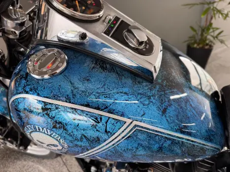 HARLEY DAVIDSON Softail Fat Boy 1600 SPECIAL, Foto 22