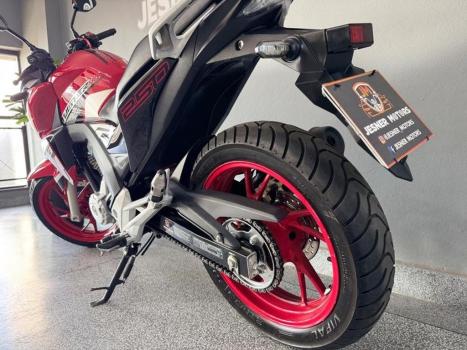 HONDA CB 250 F Twister FLEXONE, Foto 20