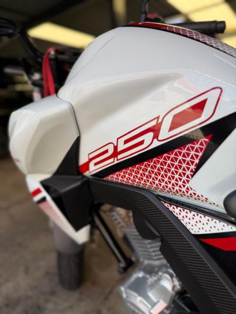 HONDA CB 250 F Twister FLEXONE, Foto 4