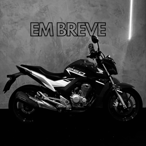 HONDA CB 250 F Twister , Foto 1