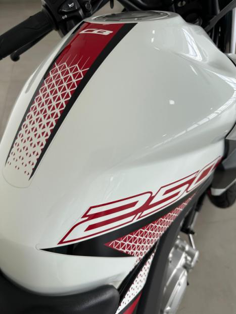 HONDA CB 250 F Twister FLEXONE, Foto 3