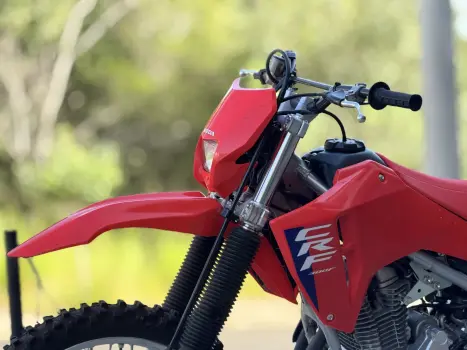 HONDA CRF 300 F, Foto 10