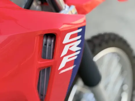HONDA CRF 300 F, Foto 12