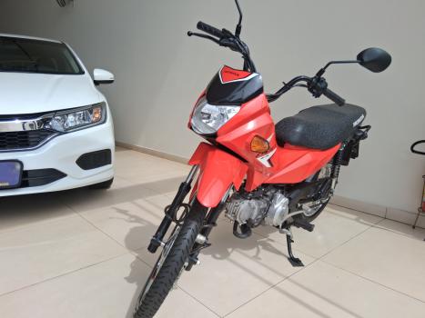 HONDA POP 100 , Foto 3