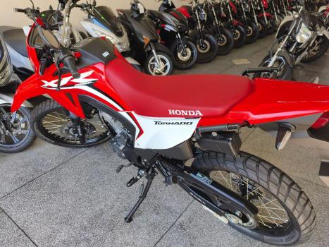 HONDA XR 300 L Tornado , Foto 8