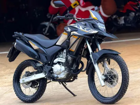 HONDA XRE 300 ADVENTURE, Foto 1