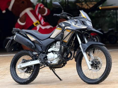 HONDA XRE 300 ADVENTURE, Foto 1