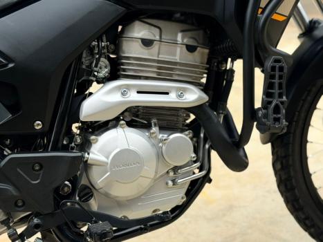 HONDA XRE 300 ADVENTURE, Foto 5