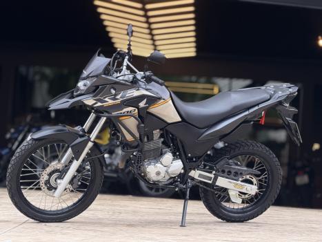 HONDA XRE 300 ADVENTURE, Foto 2