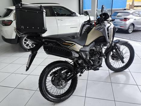 HONDA XRE 300 ADVENTURE, Foto 6