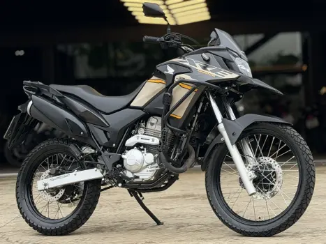 HONDA XRE 300 ADVENTURE, Foto 1