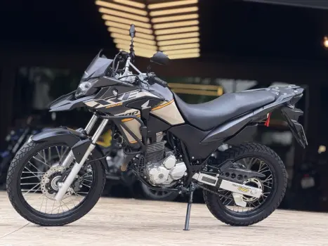 HONDA XRE 300 ADVENTURE, Foto 2