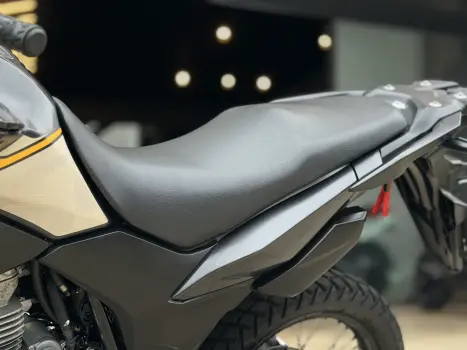 HONDA XRE 300 ADVENTURE, Foto 14