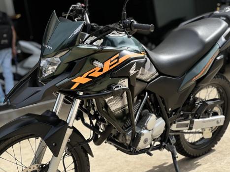 HONDA XRE 300 ADVENTURE, Foto 3