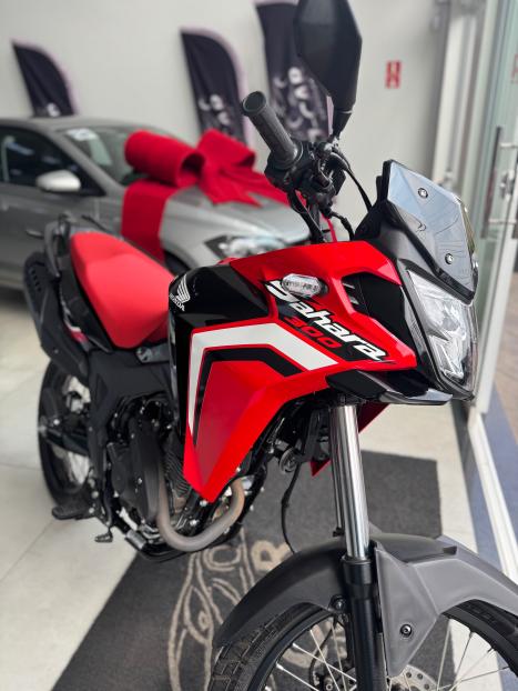 HONDA XRE 300 RALLY ABS, Foto 10