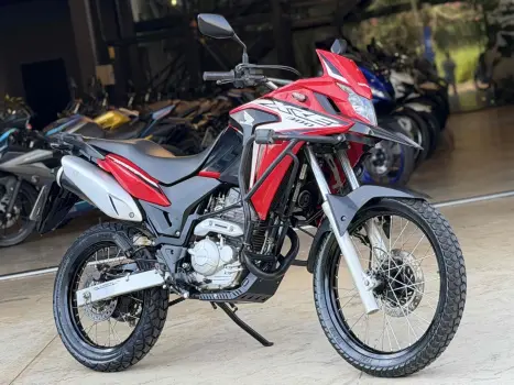 HONDA XRE 300 RALLY ABS, Foto 1